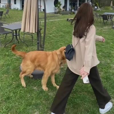 老虎的尾巴